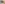 arendt fig 1